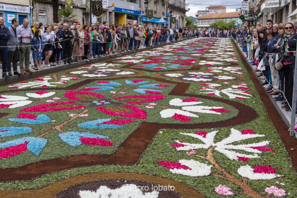 Calle cubierta de petalos